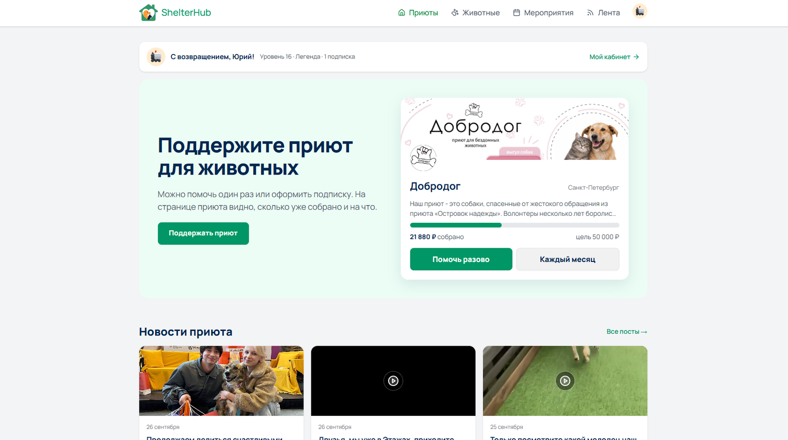 Скриншот Shelter Hub — помощь приютам для животных